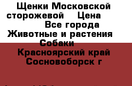 Щенки Московской сторожевой  › Цена ­ 25 000 - Все города Животные и растения » Собаки   . Красноярский край,Сосновоборск г.